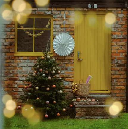 Curved Paper White Star