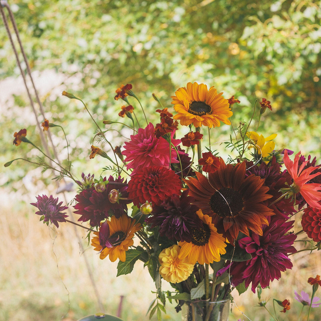 Bouquet of colorful flowers in a vase with a blurred natural background