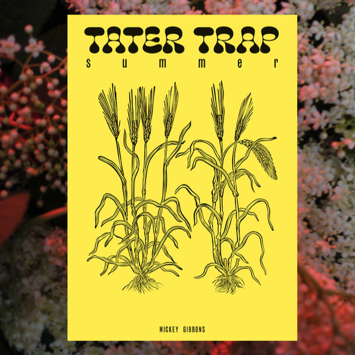 Tater Trap Summer